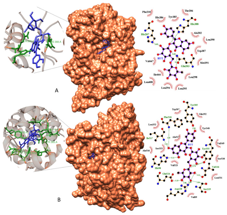 Figure 13