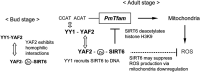 FIG 9