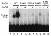 FIG. 5