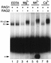 FIG. 7
