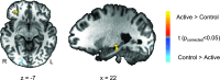 <b>FIG. 3.</b>