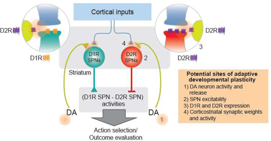 Figure 2.