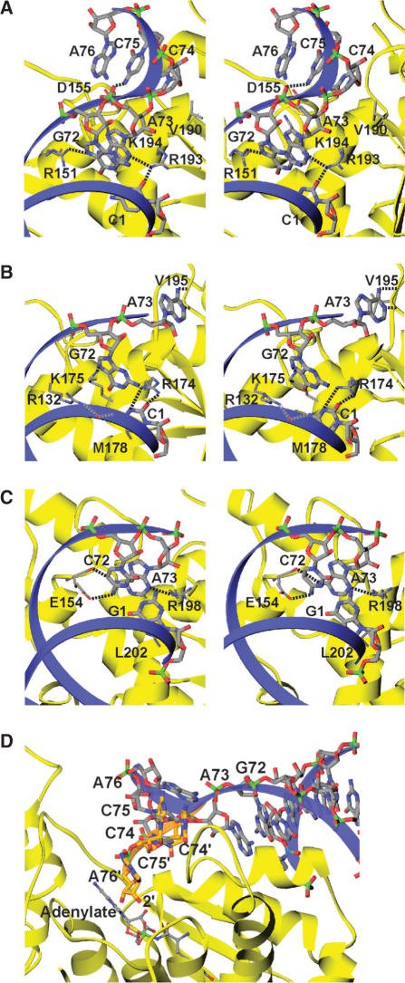 Figure 5.