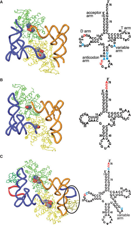 Figure 2.