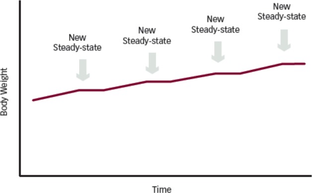 Figure 1:
