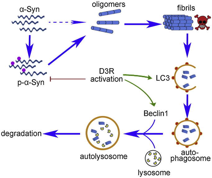 Fig 3.