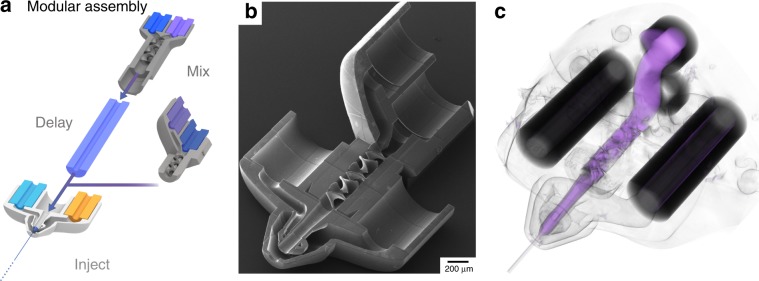 Fig. 6