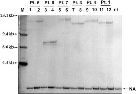 Figure  4