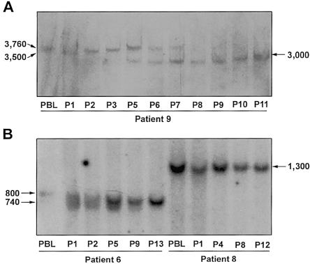 Figure  5