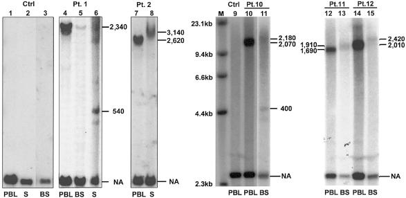 Figure  3