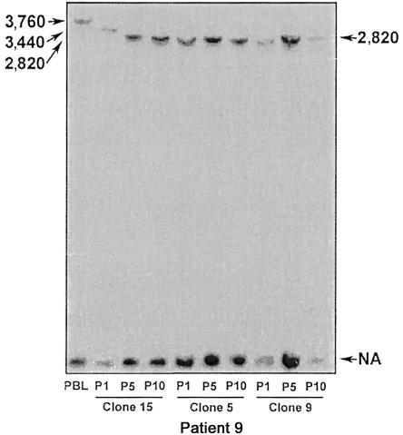 Figure  6