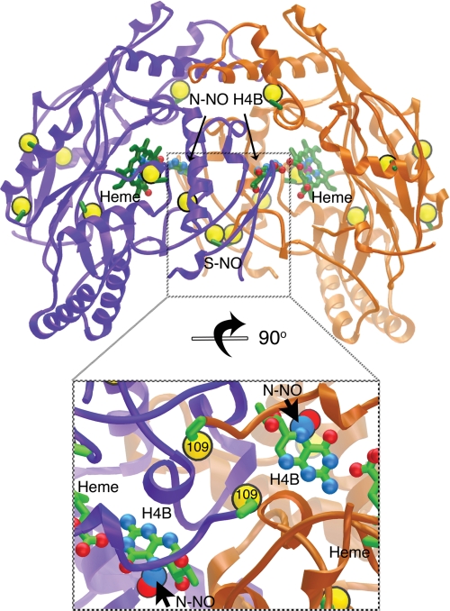 FIGURE 7.