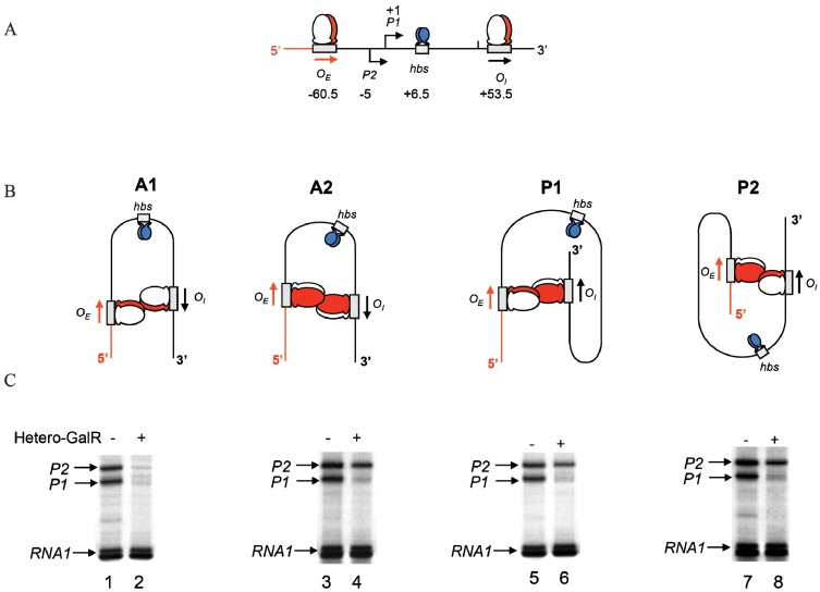 Figure 15