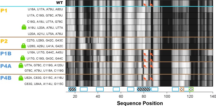 Figure 5.