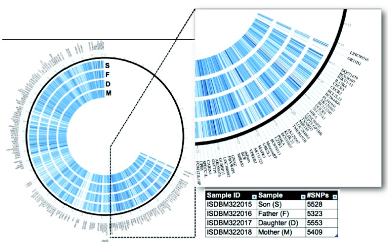 Fig. (3)