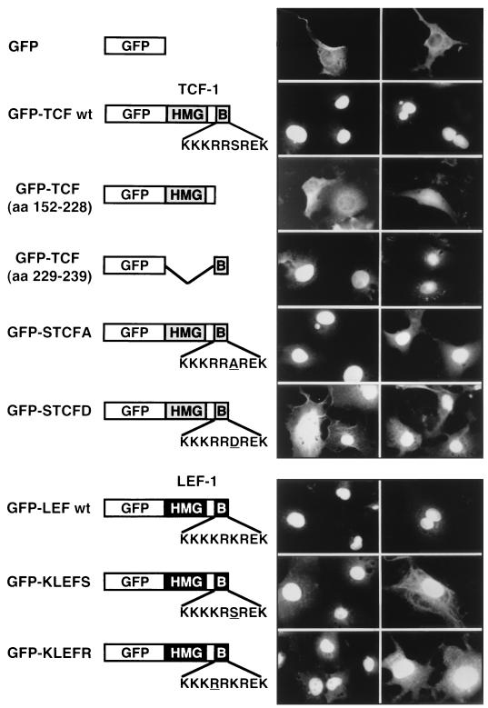 FIG. 7