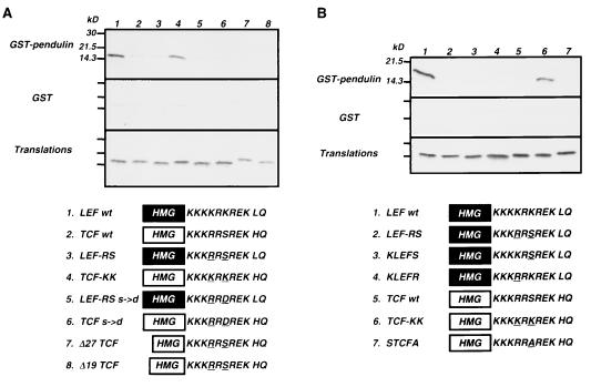 FIG. 3