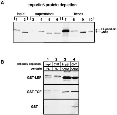 FIG. 6