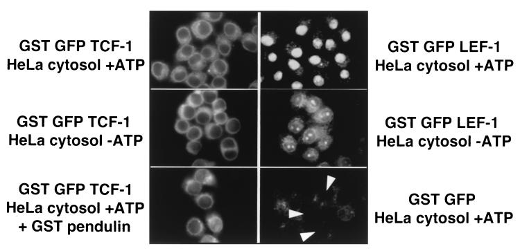 FIG. 8