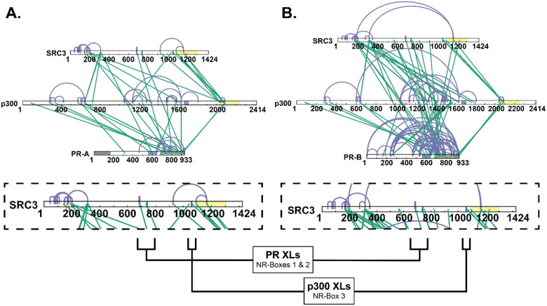 Extended Data Fig. 3