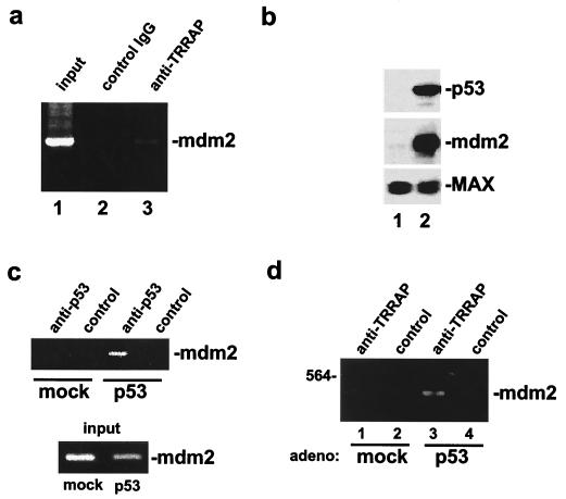 FIG. 8.