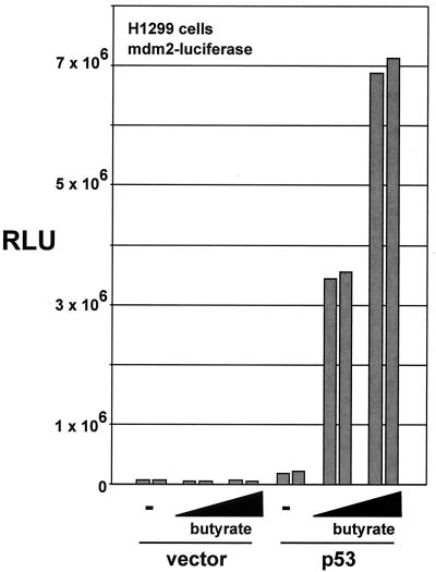 FIG. 5.