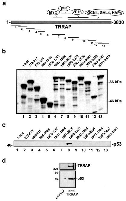 FIG. 7.