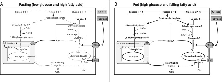 FIGURE 10.