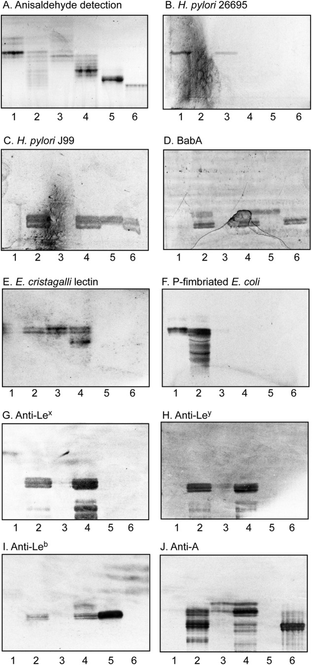 Figure 9.