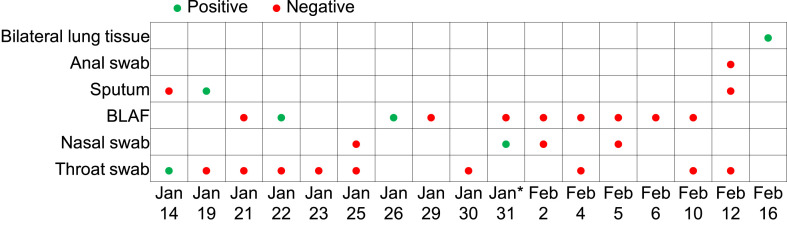 Fig. 1