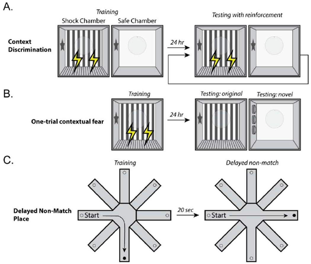 Figure 2.