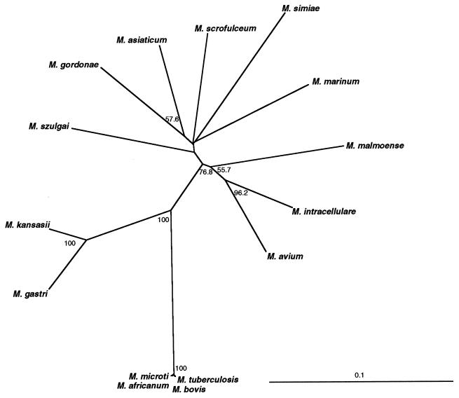 FIG. 1