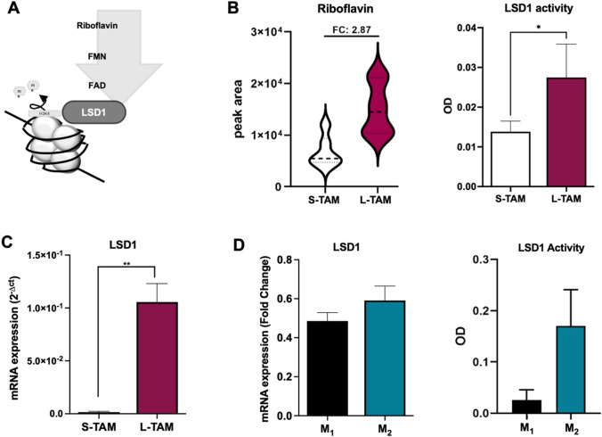 Fig. 2