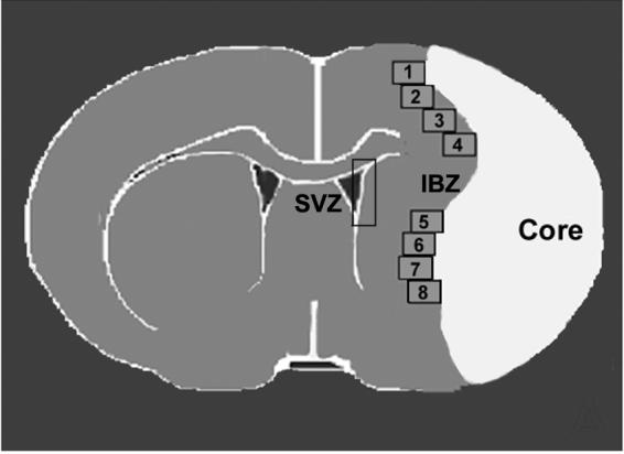 Fig.1