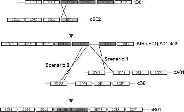 Figure 7