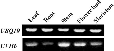 Figure 5.