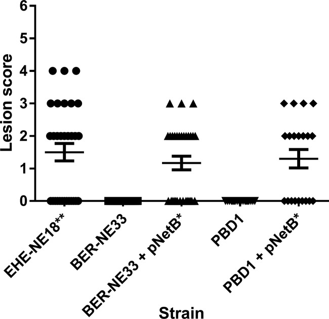 FIG 2