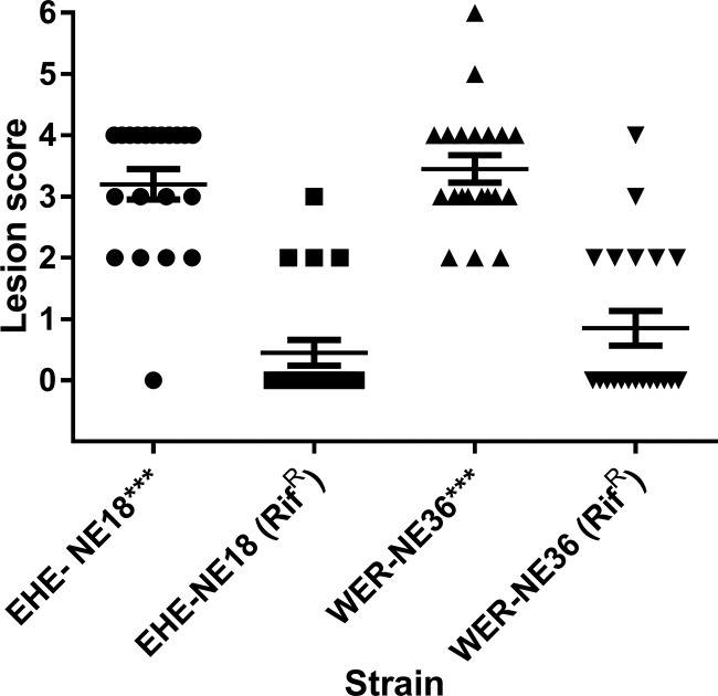 FIG 3