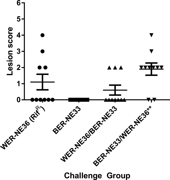 FIG 4