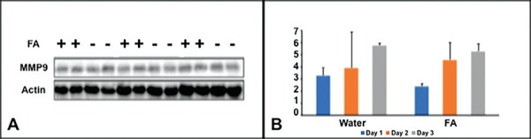 Fig. 1: