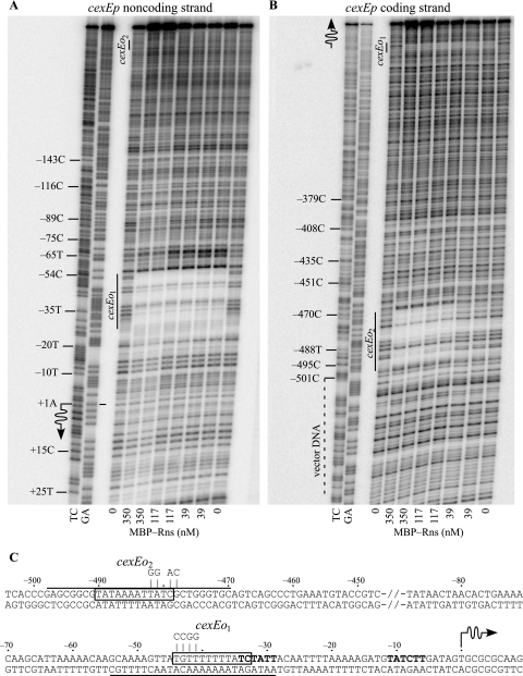 FIG. 3.