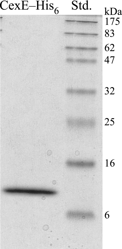 FIG. 5.