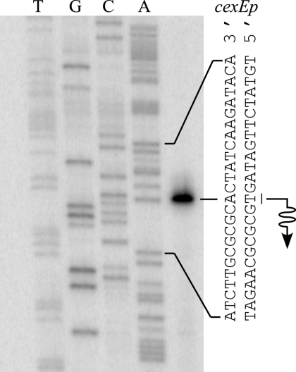 FIG. 4.