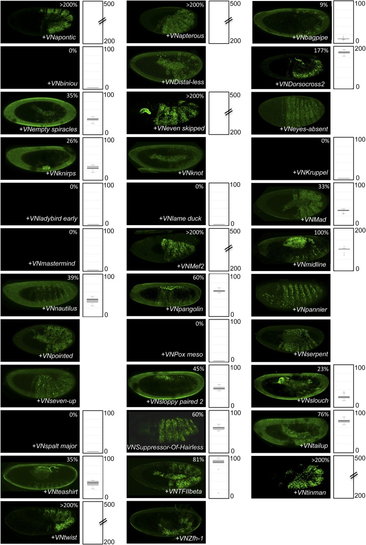 Figure 4—figure supplement 7.