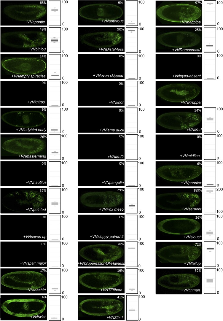 Figure 3—figure supplement 2.