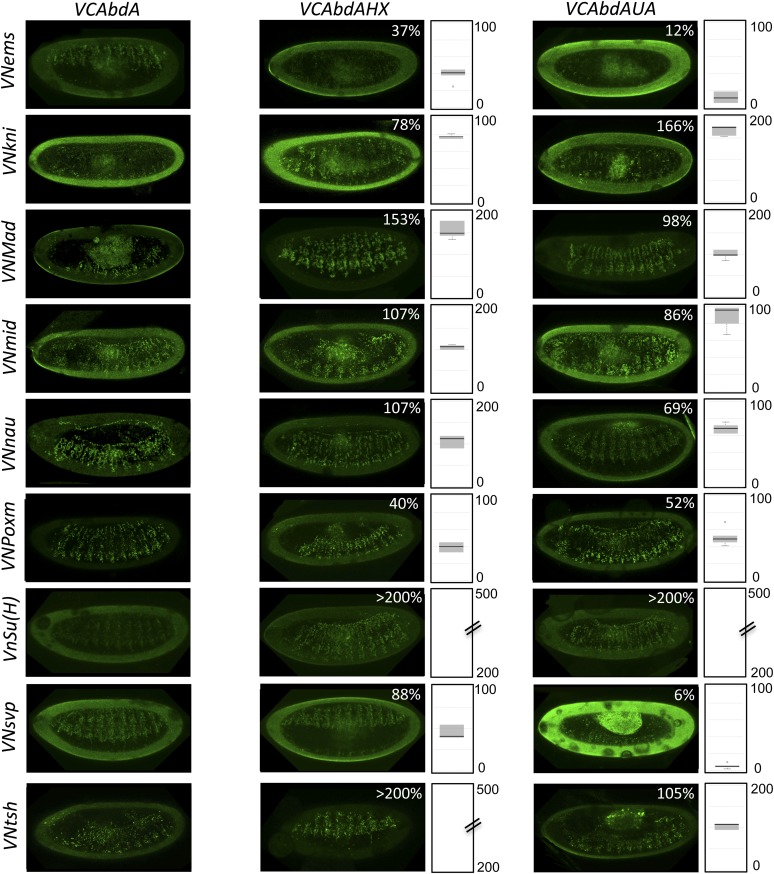 Figure 7—figure supplement 1.