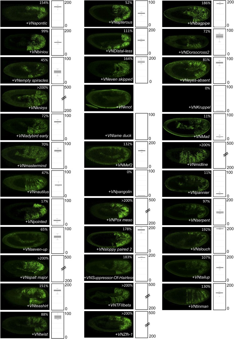 Figure 4—figure supplement 8.