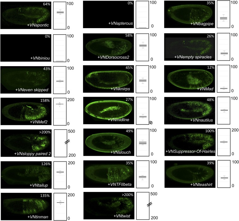 Figure 6—figure supplement 2.