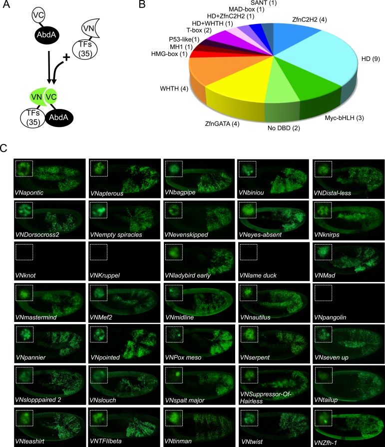 Figure 2.