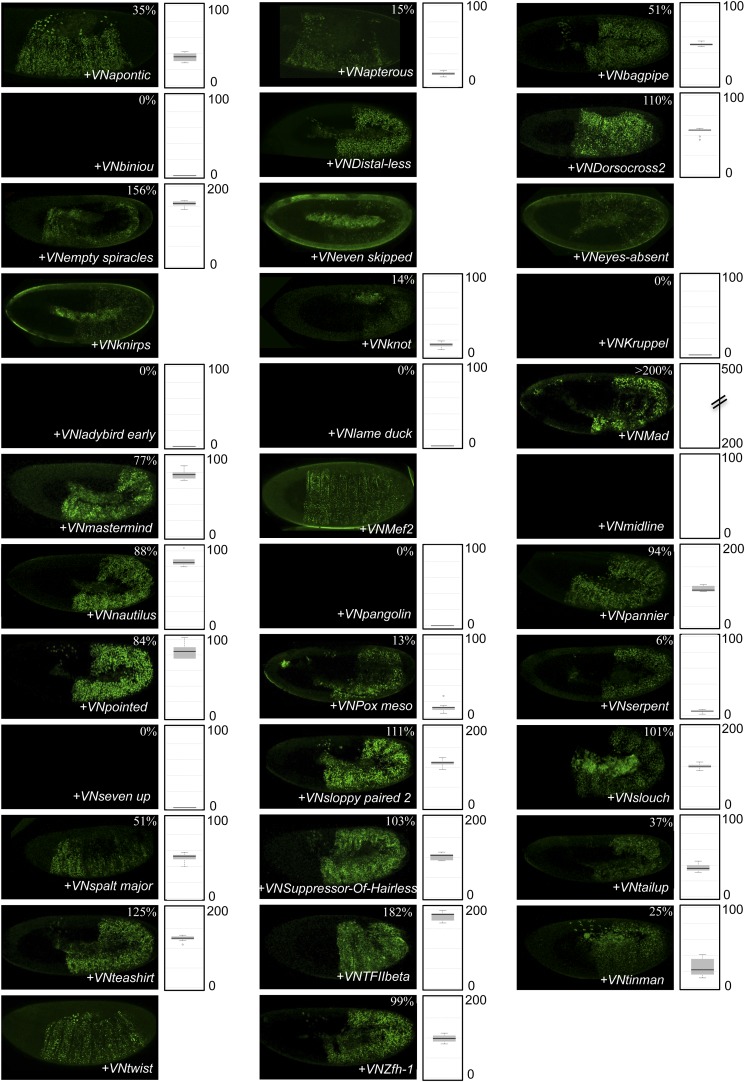 Figure 4—figure supplement 5.